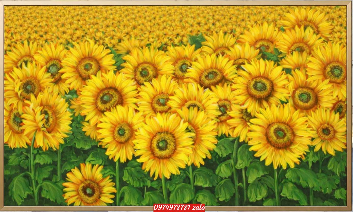 Tranh hoa hướng dương - bưc tranh sơn dầu SN135