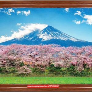 Tranh núi phú sĩ, tranh núi phú sĩ treo cơ quan SN6